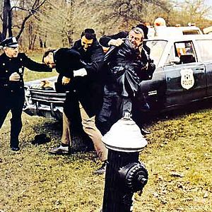 Foto Contacto en Francia