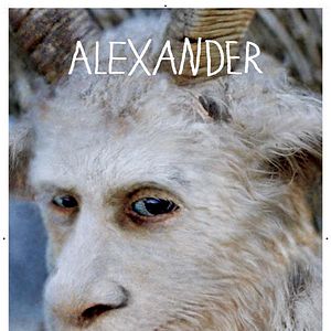 Foto Donde viven los monstruos