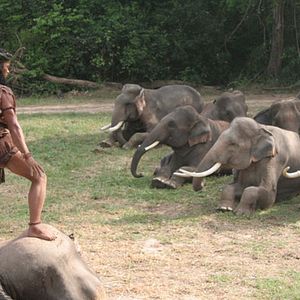 Foto Ong Bak 2: La leyenda del Rey Elefante