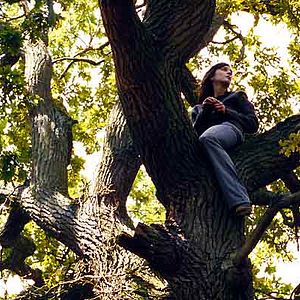 Foto Florence Loiret Caille