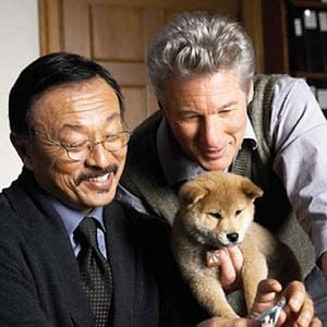 Foto Siempre a tu lado