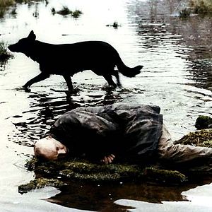 Foto Stalker: La zona