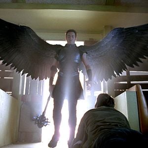 Foto Legión de ángeles