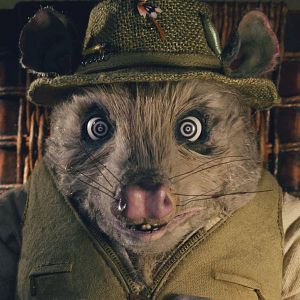 Foto El fantástico señor Zorro