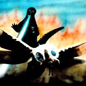 Foto Godzilla contra Mothra