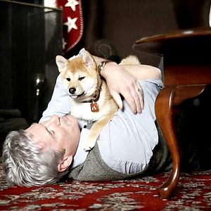 Foto Siempre a tu lado