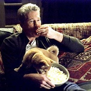 Foto Siempre a tu lado