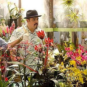 Foto Yvonne Strahovski