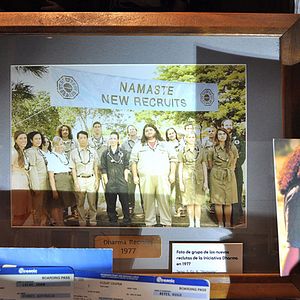 Foto Evangeline Lilly