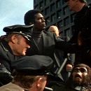 Foto La conquista del planeta de los simios