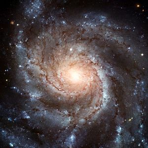 Foto Patricio Guzmán