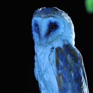 Foto El cuarto contacto