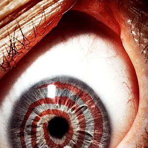 Foto El juego del miedo VII