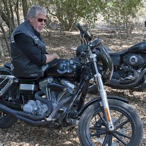 Foto Hijos de la anarquía