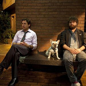 Foto Zach Galifianakis