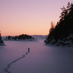 Foto Jerzy Skolimowski