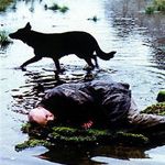 Foto Stalker: La zona