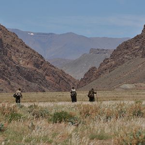 Foto Camino a la libertad