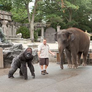 Foto El Guardián del Zoológico