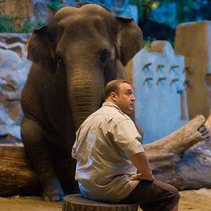Foto El Guardián del Zoológico