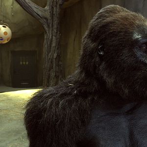 Foto El Guardián del Zoológico