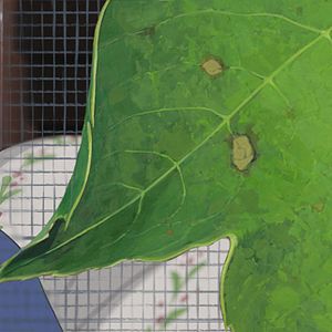 Foto Arrietty y el mundo de los diminutos