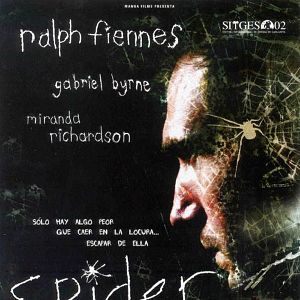 Foto Spider