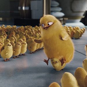 Foto Hop: Rebelde sin Pascua