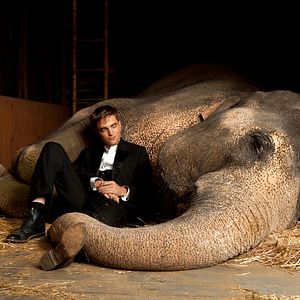 Foto Agua para elefantes