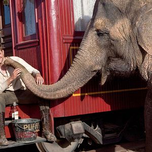 Foto Agua para elefantes