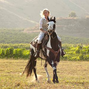Foto Agua para elefantes