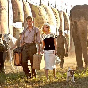 Foto Agua para elefantes