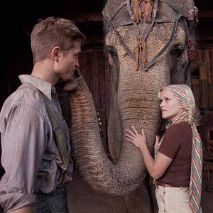 Foto Agua para elefantes