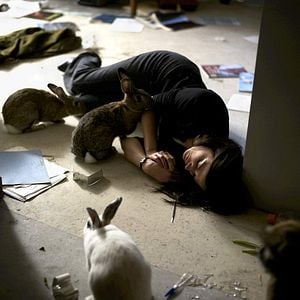 Foto Al final de los sentidos