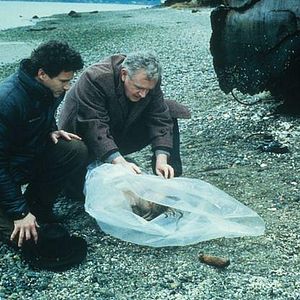 Foto Twin Peaks: Picos Gemelos