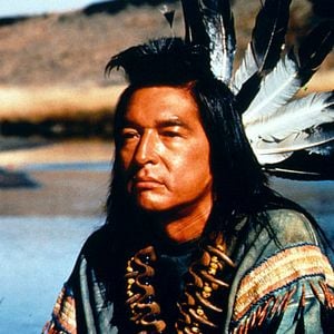 Foto Danza con lobos