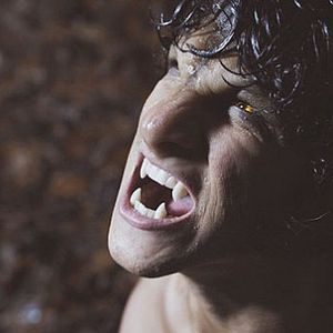 Foto Tyler Posey