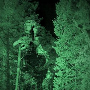 Foto André Øvredal