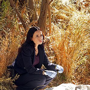 Foto Janeane Garofalo