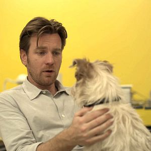 Foto Beginners, así se siente el amor