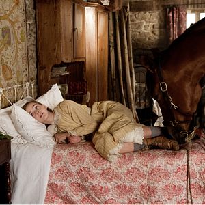Foto Caballo de guerra