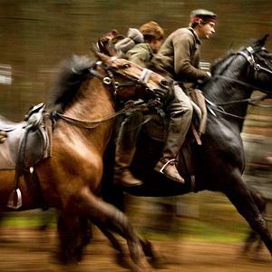 Foto Caballo de guerra