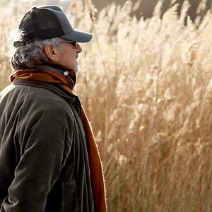 Foto Caballo de guerra