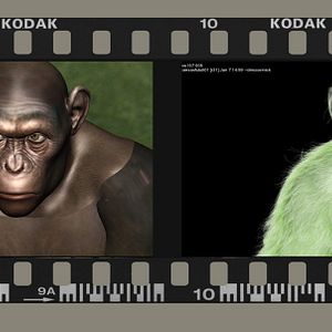 Foto El planeta de los simios (R)evolución