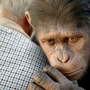 Foto El planeta de los simios (R)evolución