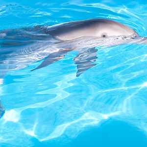 Foto Charles Martin Smith