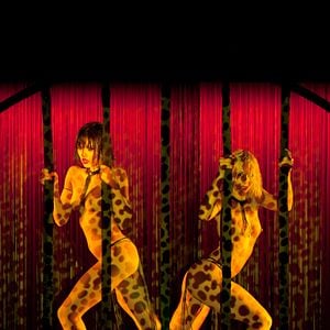 Foto Frederick Wiseman