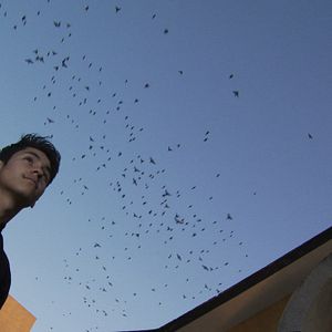 Foto Agnus Dei: Cordero de Dios
