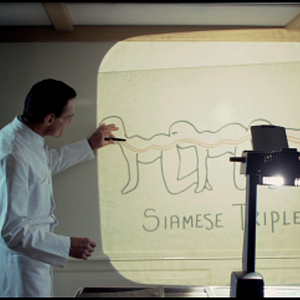 Foto The Human Centipede (First Sequence)