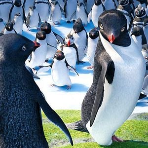 Foto Happy Feet 2: El pingüino
